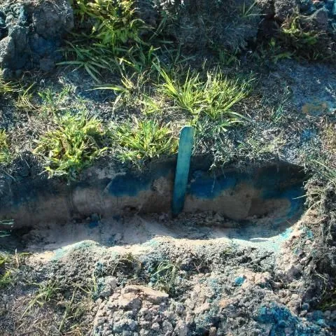 thumbnail for publication: Conducting a Blue Dye Demonstration to Teach Irrigation and Nutrient Management Principles in a Residential Landscape